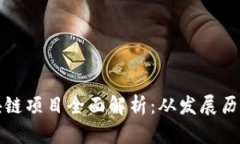 中国麻将区块链项目全面
