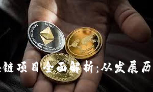 中国麻将区块链项目全面解析:从发展历史到未来趋势