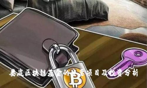 娄底区块链基金的主要项目及投资分析