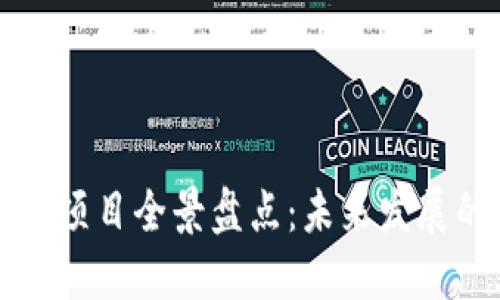 中国区块链金融项目全景盘点:未来发展的可能性与挑战