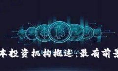 区块链领域的资本投资机