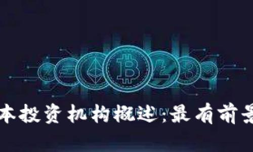 区块链领域的资本投资机构概述:最有前景的投资者与趋势