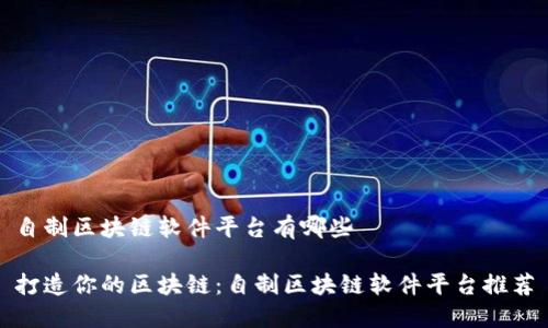 自制区块链软件平台有哪些
打造你的区块链:自制区块链软件平台推荐