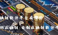 自制区块链软件平台有哪