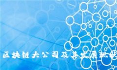 国内区块链大公司及其发