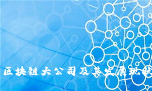 国内区块链大公司及其发展现状解析