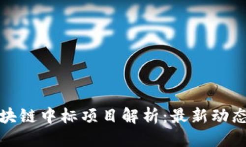 优质
同济区块链中标项目解析:最新动态与趋势