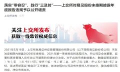 探索区块链的多样性：区