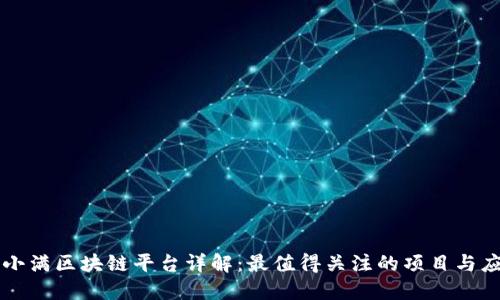 度小满区块链平台详解:最值得关注的项目与应用
