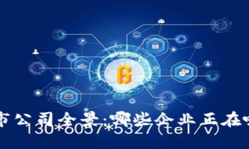 区块链行业的上市公司全景:哪些企业正在吸引投资者的目光