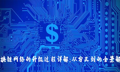 区块链网络的升级过程详解:从分叉到的全景解读