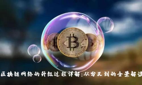 区块链网络的升级过程详解:从分叉到的全景解读