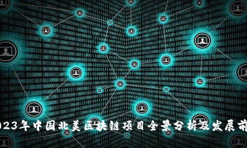 2023年中国北美区块链项目全景分析及发展前景