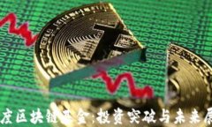 印度区块链基金：投资突