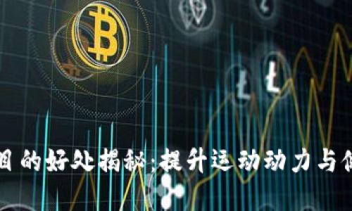 区块链健身项目的好处揭秘:提升运动动力与健康管理新方式
