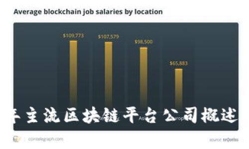 2023年主流区块链平台公司概述与分析