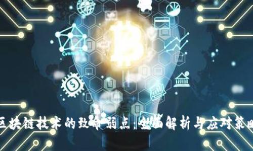 区块链技术的致命弱点:全面解析与应对策略