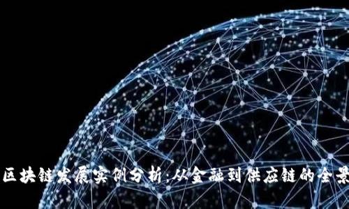 国内区块链发展实例分析:从金融到供应链的全景探索