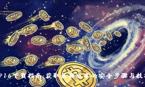 TP16下载指南:获取最新版本的安全步骤与技巧