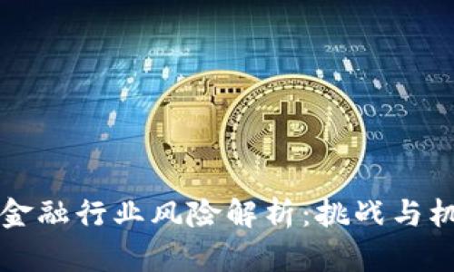 区块链金融行业风险解析:挑战与机遇并存