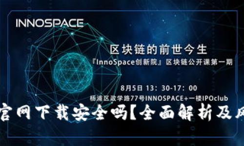 TP钱包官网下载安全吗?全面解析及风险提示