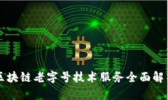 区块链老字号技术服务全