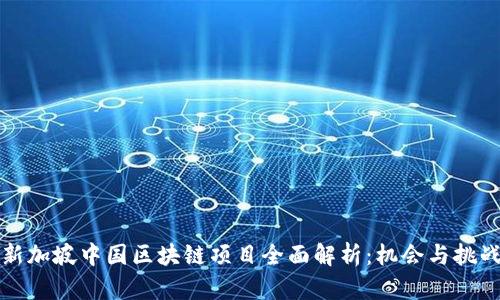 新加坡中国区块链项目全面解析:机会与挑战