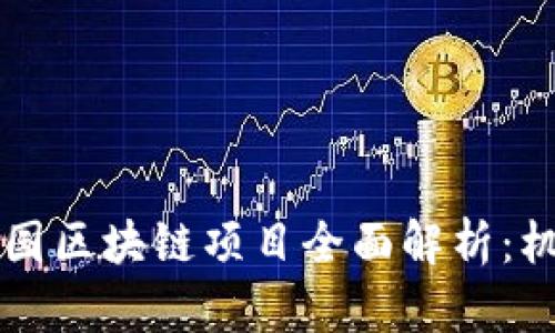 新加坡中国区块链项目全面解析:机会与挑战