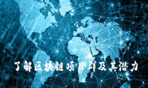 了解区块链项目群及其潜力
