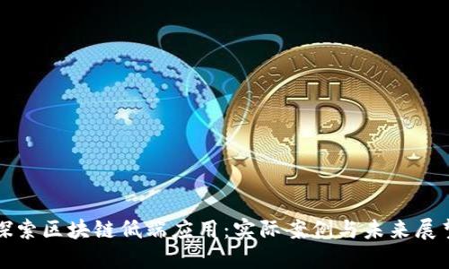 探索区块链低端应用:实际案例与未来展望