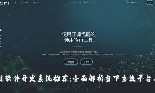 区块链软件开发系统推荐:全面解析当下主流平台与工具