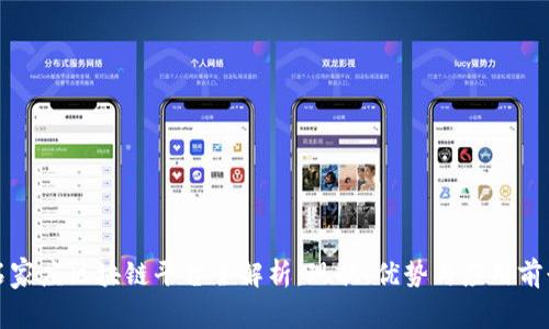 石家庄区块链平台全解析:现状、优势与应用前景