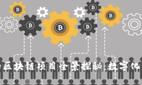 爱沙尼亚的区块链项目全景探秘:数字化革命的先锋