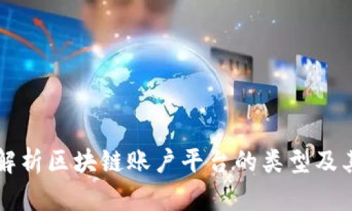 全面解析区块链账户平台的类型及其应用