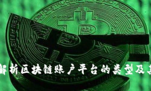 全面解析区块链账户平台的类型及其应用
