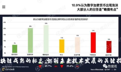 区块链成熟的标志:识别未来技术发展的关键指标