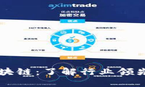 全球公认的区块链:了解行业领先的区块链平台