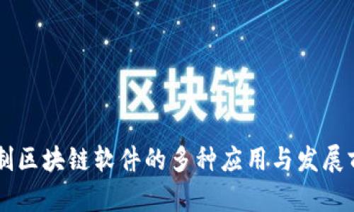 自制区块链软件的多种应用与发展前景
