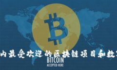 2023年国内最受欢迎的区块