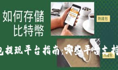 区块链钱包提现平台指南:哪些平台支持快速提现?