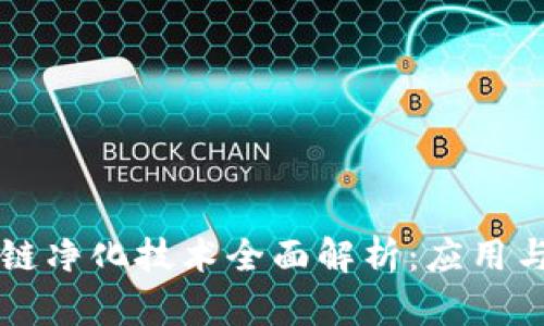 区块链净化技术全面解析:应用与发展