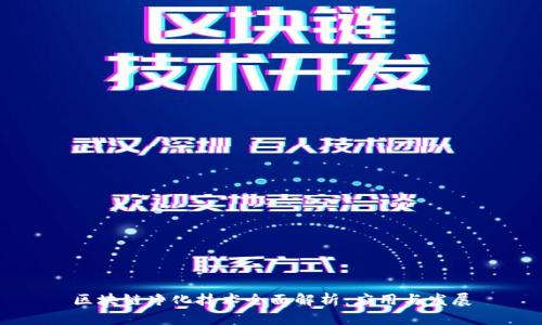 区块链净化技术全面解析:应用与发展