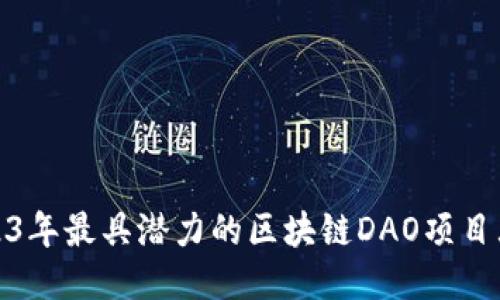 2023年最具潜力的区块链DAO项目大全