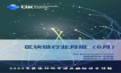 2023年最流行的开源区块链项目详解