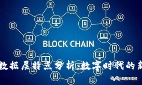 区块链的数据层特点分析:数字时代的新技术支柱