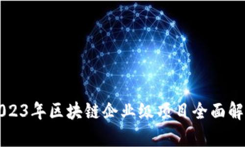 2023年区块链企业级项目全面解析