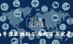 海南牛津区块链公司概述