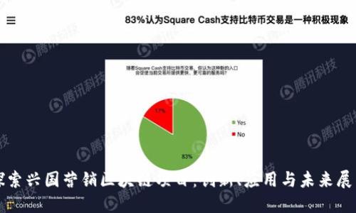 探索兴国营销区块链项目:创新、应用与未来展望