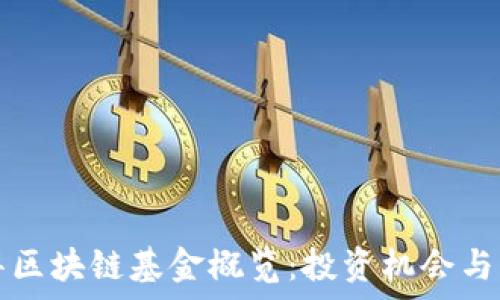 水木清华区块链基金概览:投资机会与风险分析