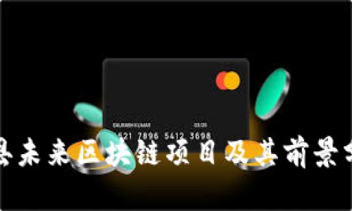 雄县未来区块链项目及其前景分析